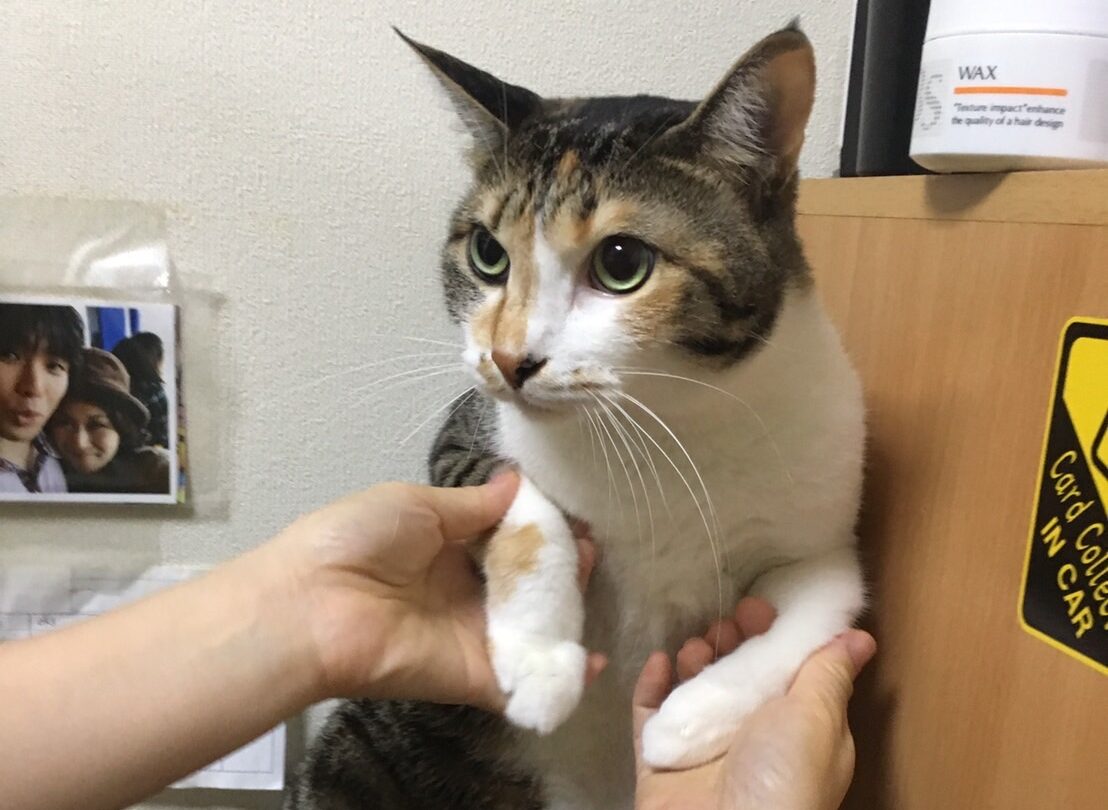 嶋 かおりさんの趣味・特技の写真2